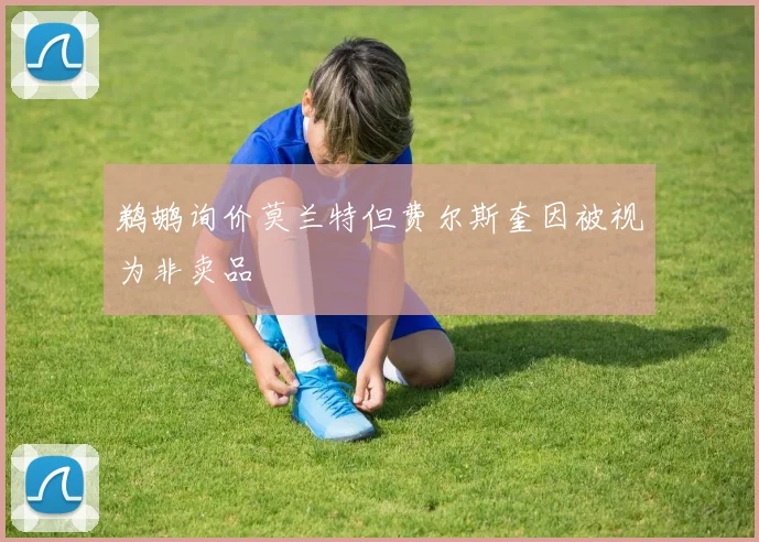 鹈鹕询价莫兰特但费尔斯奎因被视为非卖品