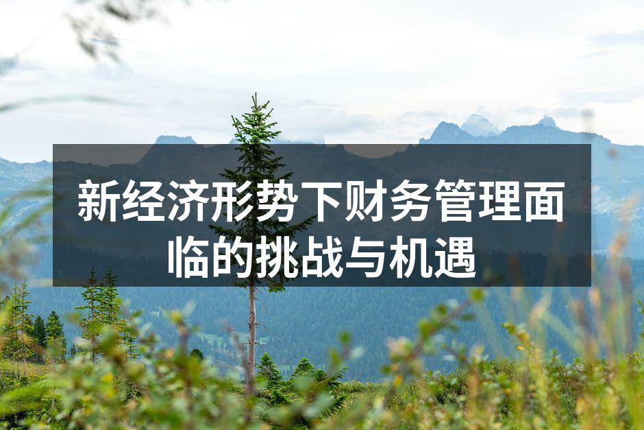 新经济形势下财务管理面临的挑战与机遇