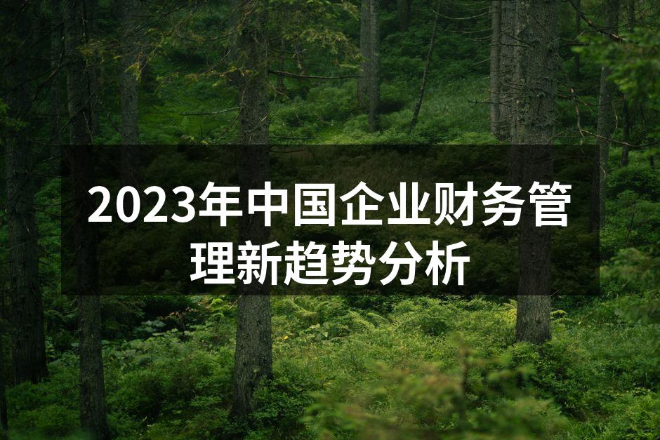 2023年中国企业财务管理新趋势分析